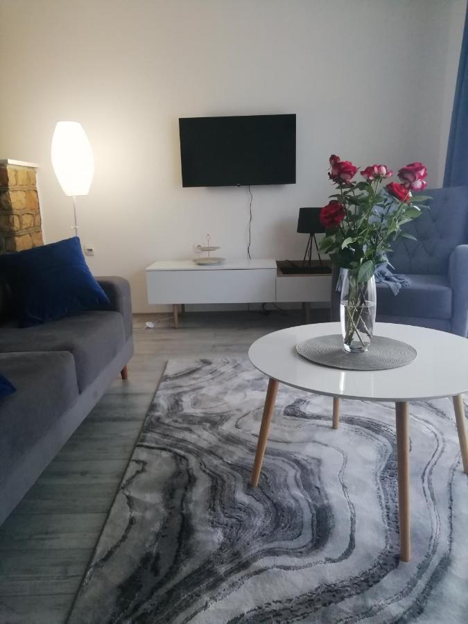 Fenix Apartment & Rooms Vinci 外观 照片