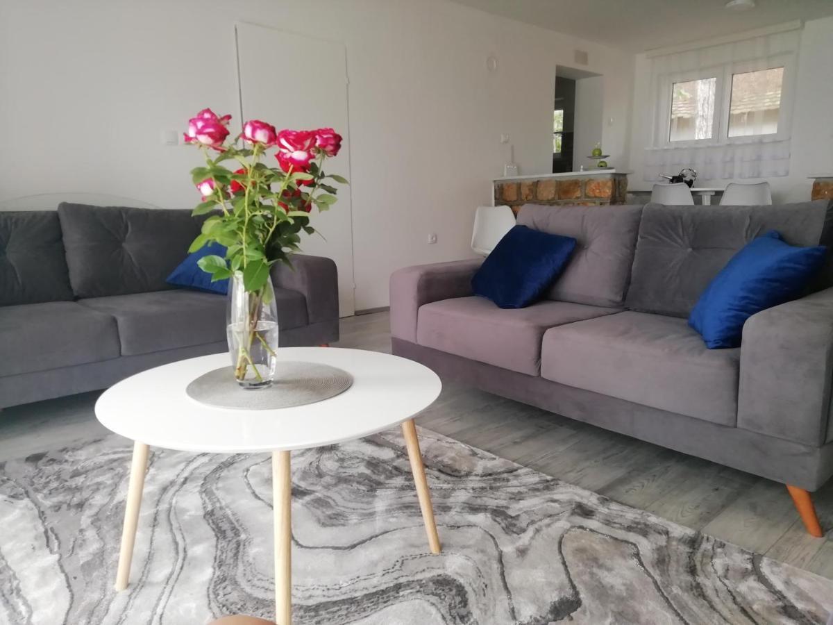 Fenix Apartment & Rooms Vinci 外观 照片