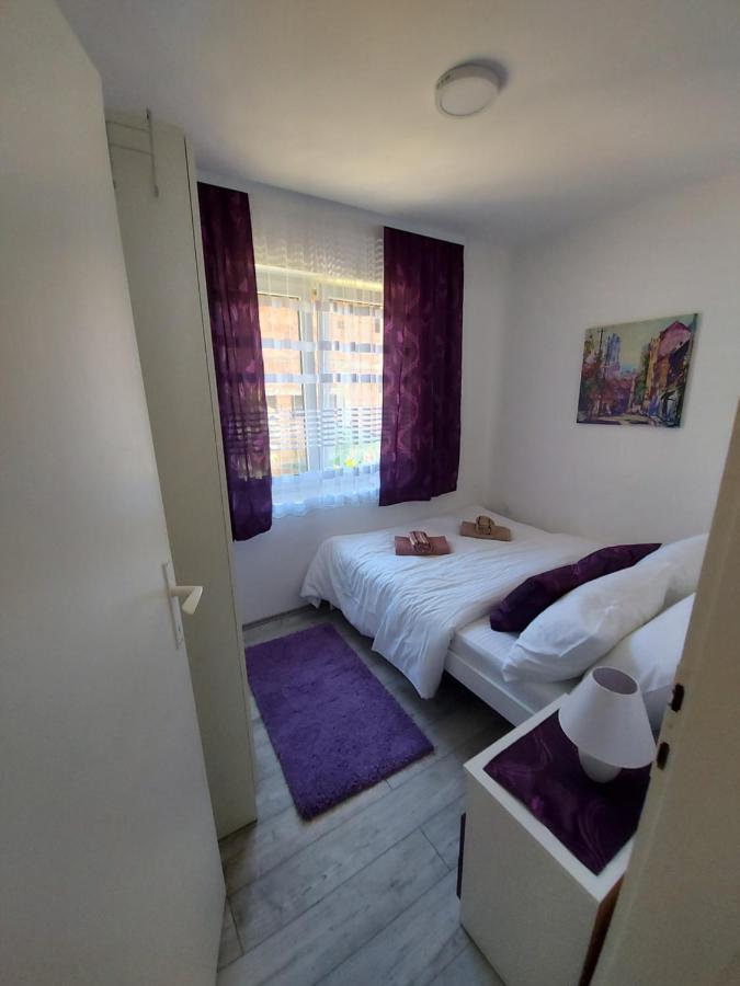 Fenix Apartment & Rooms Vinci 外观 照片