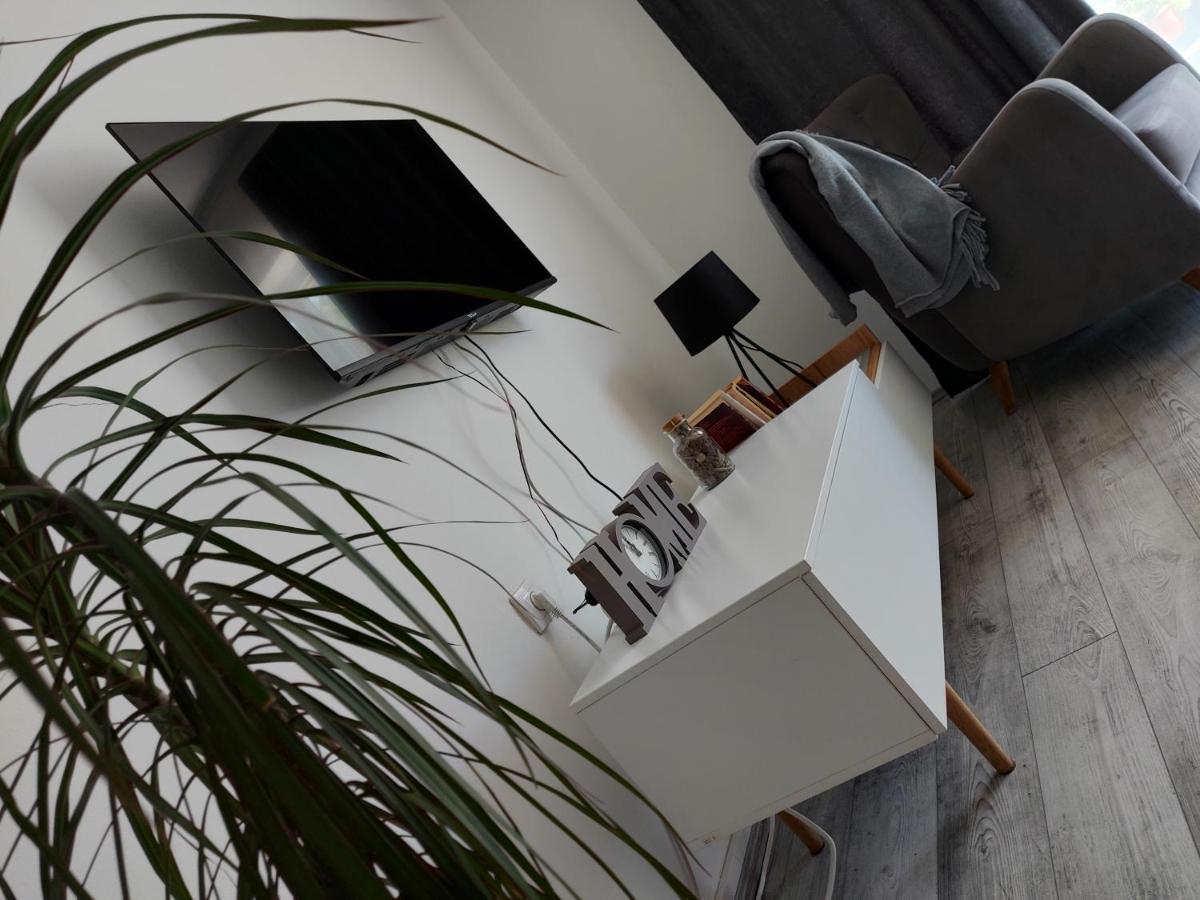 Fenix Apartment & Rooms Vinci 外观 照片