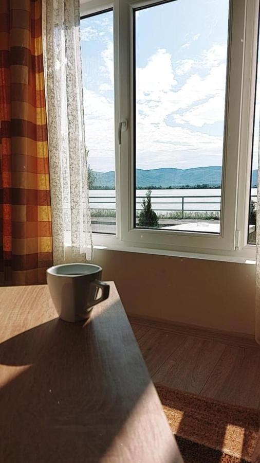Fenix Apartment & Rooms Vinci 外观 照片